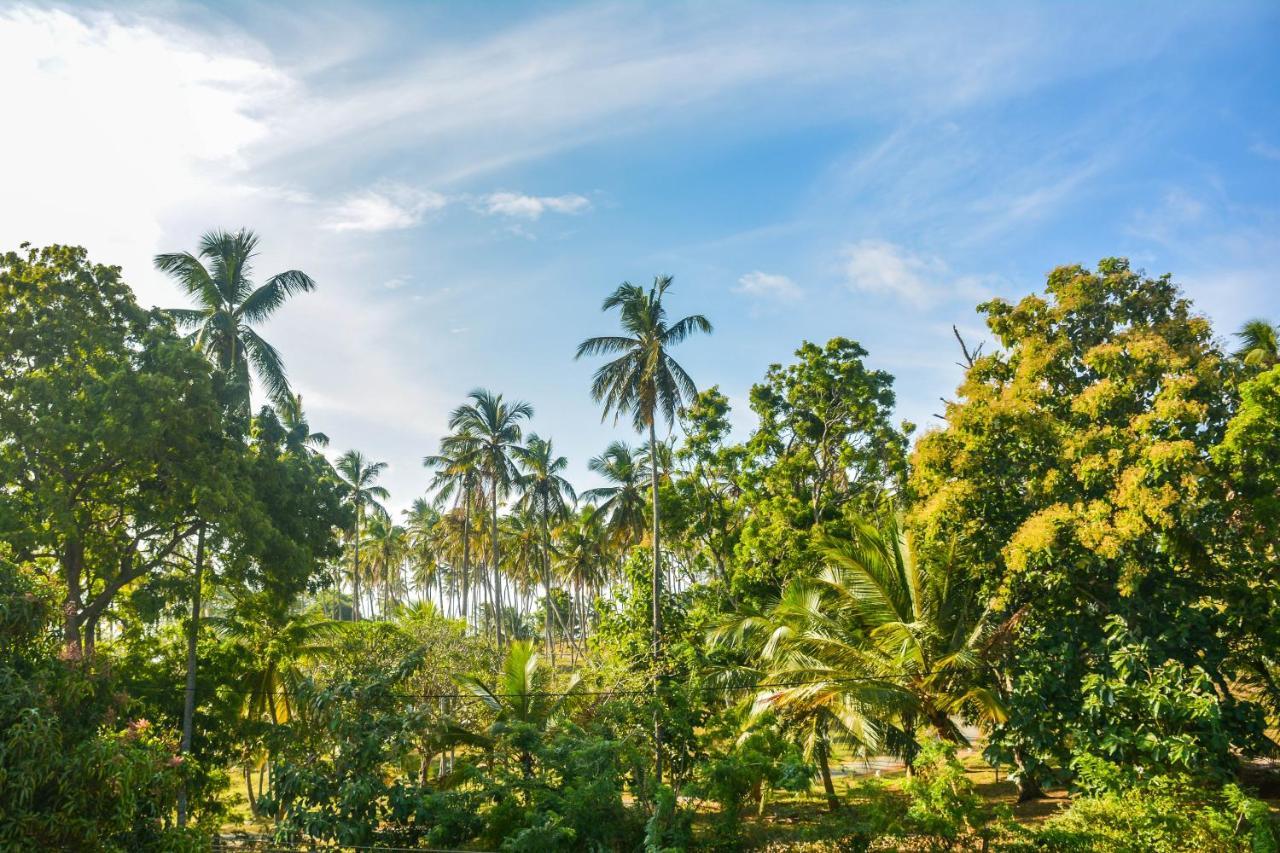 Janu Homestay Tangalle Extérieur photo